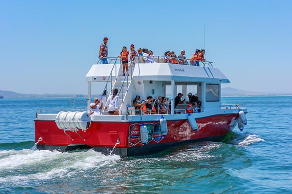 Electric Ferry Systems Greener Travel Across Cape Town’s Waterfront