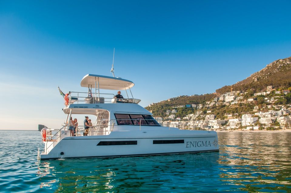 Electric Ferry Systems Greener Travel Across Cape Town’s Waterfront