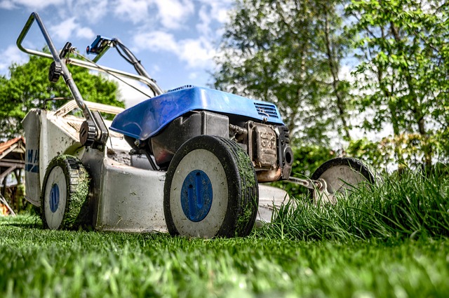 Essential Property Maintenance Checklist for South African Homes