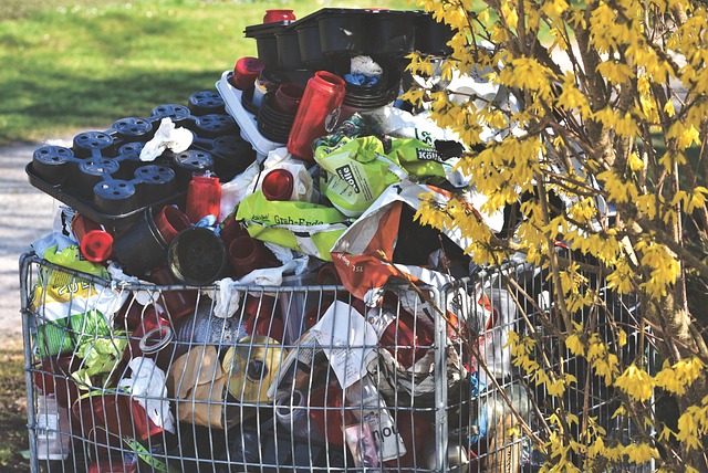 Plastic Recycling Processes Explained 