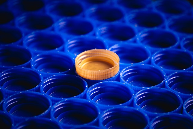 Plastic Recycling Processes Explained 