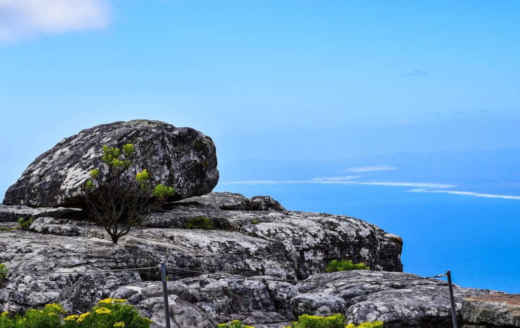 Table Mountain Erosion Control and Pathway Maintenance 