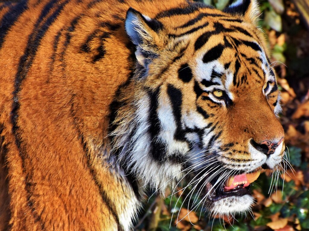 Waste Management Systems for Zoos and Wildlife Parks 