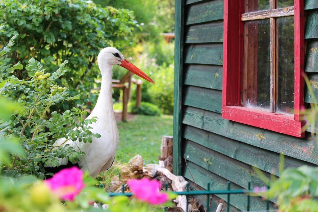 Future Trends in Zoo Facilities Management and Design 