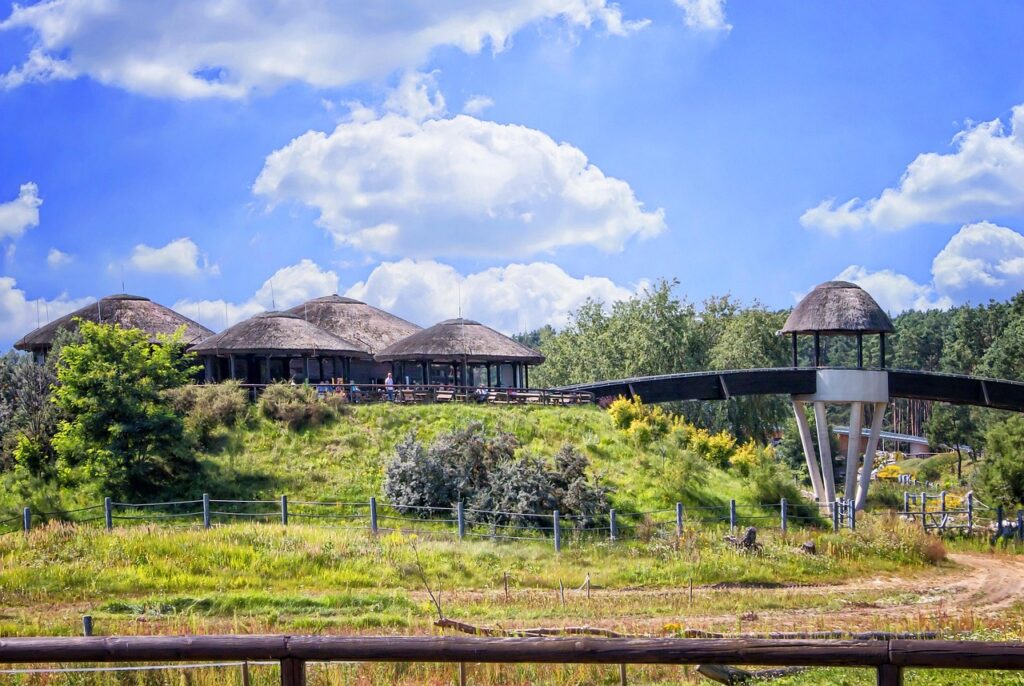 Future Trends in Zoo Facilities Management and Design 