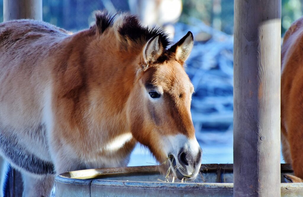 Managing Animal Transport and Holding Facilities in Zoos 