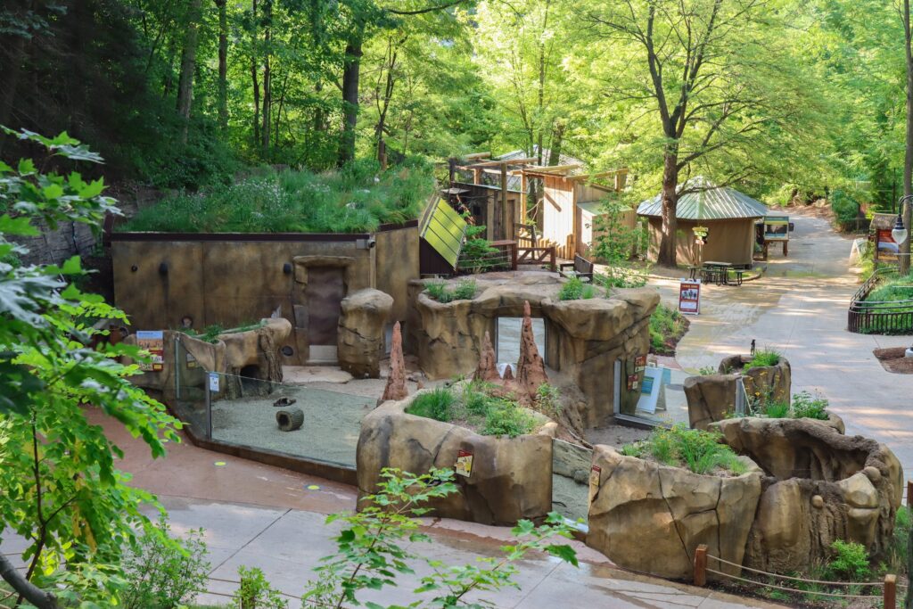 Sustainable Building Materials for Zoo Infrastructure 