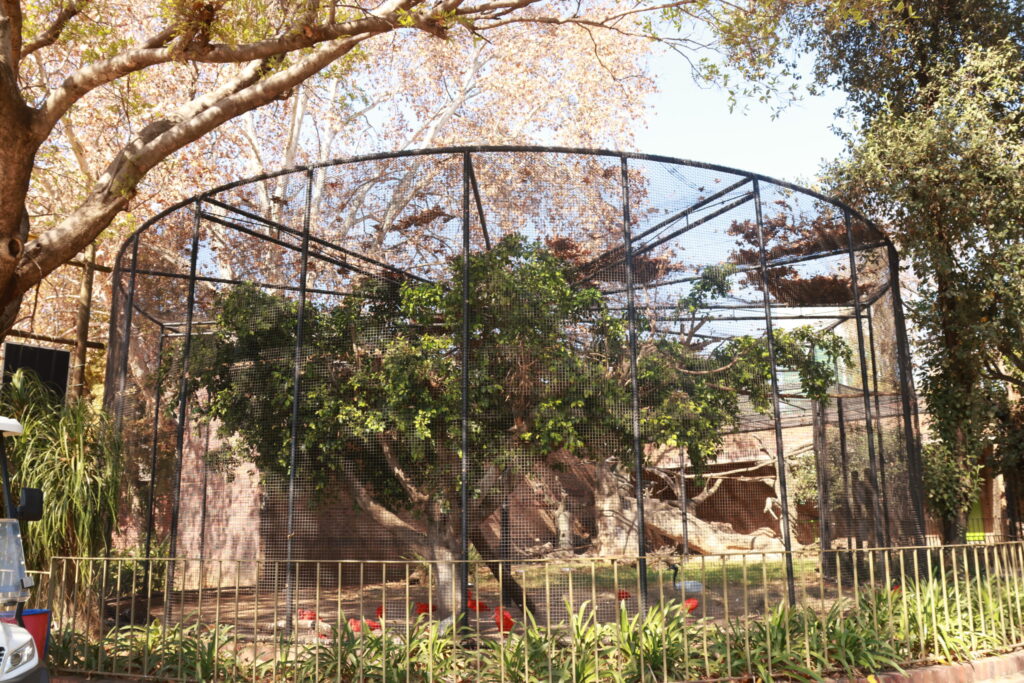 Sustainable Building Materials for Zoo Infrastructure