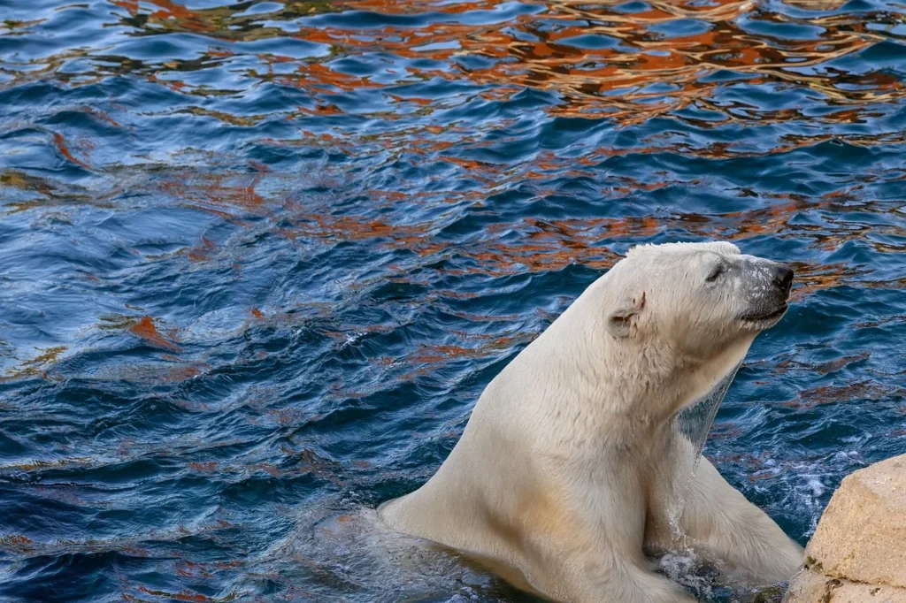 Zoo Wastewater and Sanitation Systems 