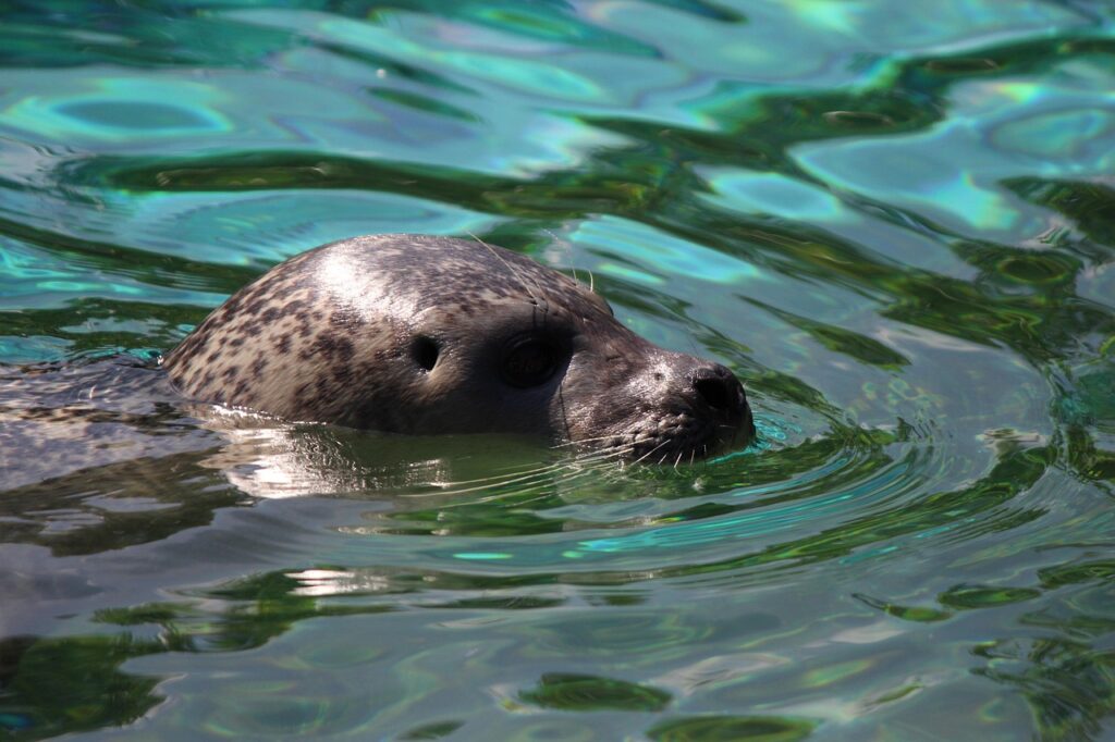 Zoo Wastewater and Sanitation Systems 