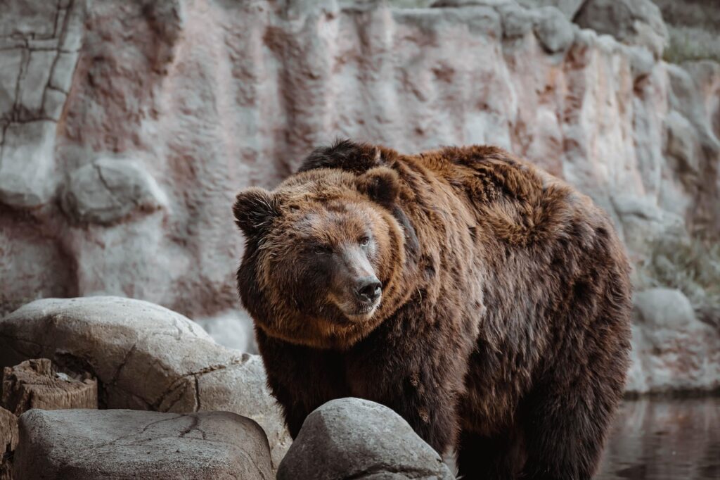 landscape design for zoo habitats