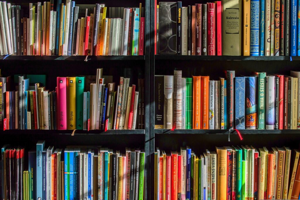 Digital Libraries vs Physical Libraries Environmental Impact 