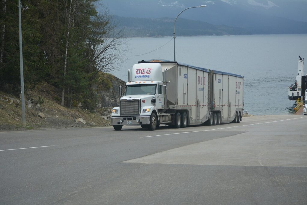 Sustainable Fleet Management for Urban Environments 