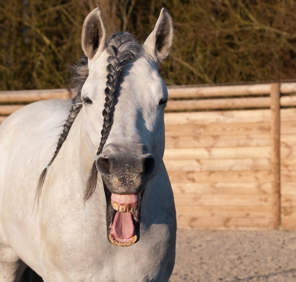 Top 2026 Property Jokes to Brighten Your Investment Journey